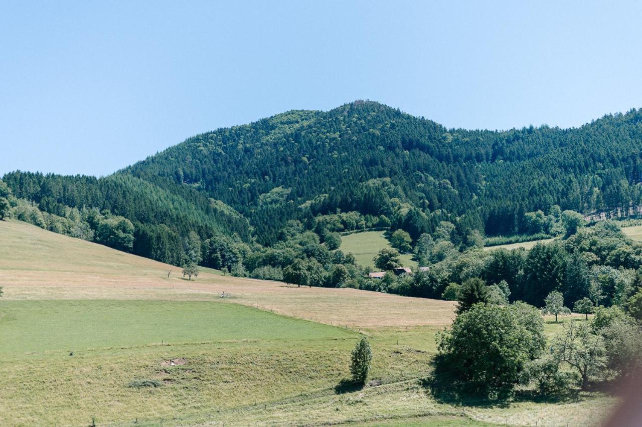 Moderne 2 Zi.-Fewo Blackforest Art Naehe Freiburg Simonswald Exterior foto